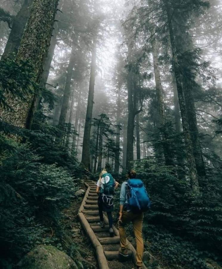 Hostal La Fulana Zipaquirá エクステリア 写真